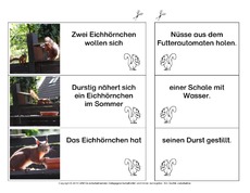 Eichhörnchen-Satzteile-verbinden-einfach 4.pdf